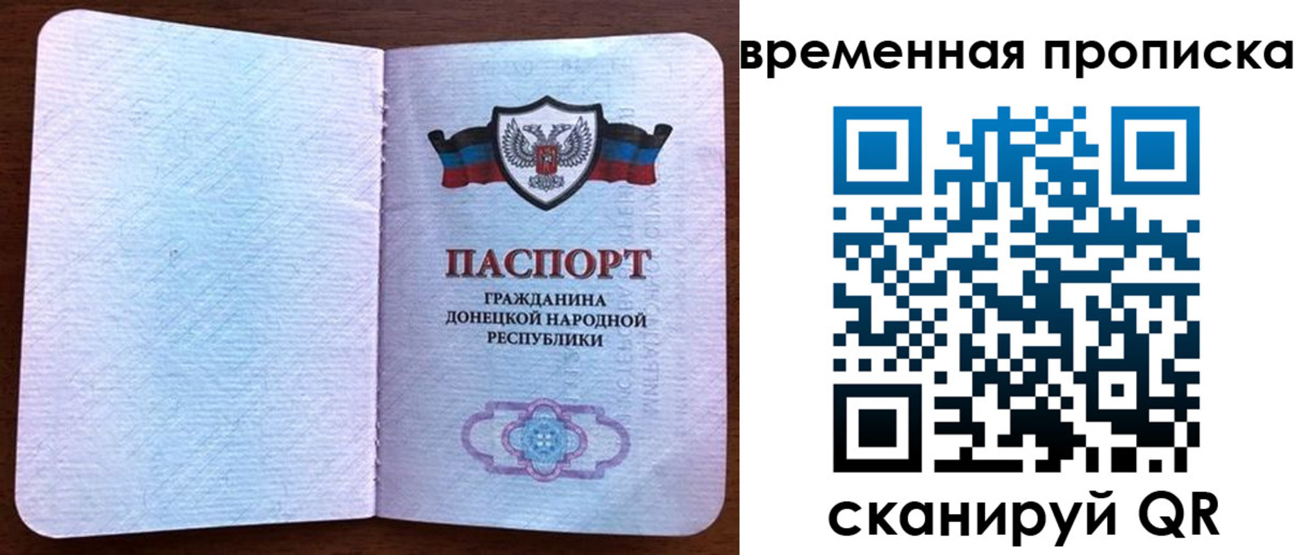 прописка гарантия в Фрязино